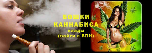 прущие крисы Вязьма